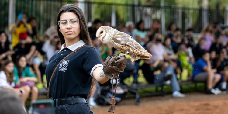 Foto: Divulgação/Dreams Eco Park Foto: Divulgação/Dreams Eco Park