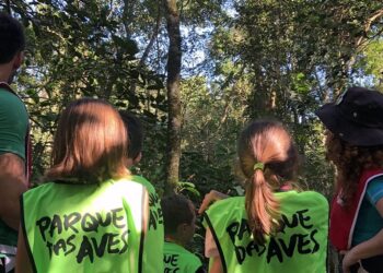 Foto: Divulgação/Parque das Aves