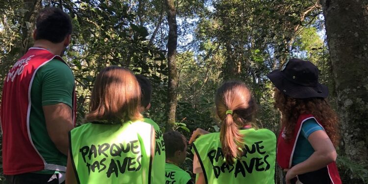 Foto: Divulgação/Parque das Aves Foto: Divulgação/Parque das Aves