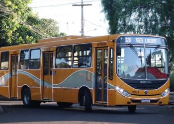 Ffoto: divulgação