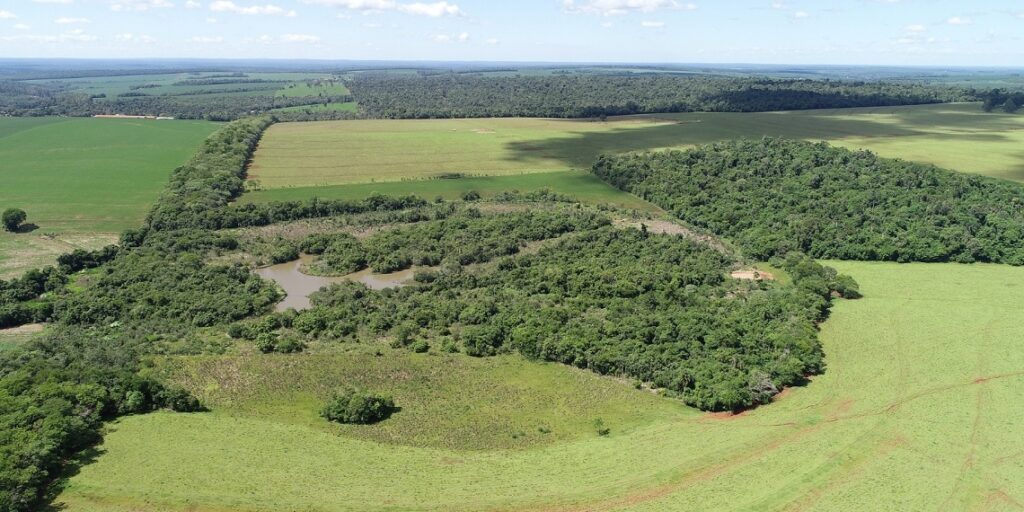 Corredor de Biodiversidade e RPPN Santa Maria. Foto: Alexandre Marchetti/Itaipu Binacional