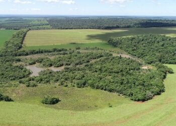 Corredor de Biodiversidade e RPPN Santa Maria. Foto: Alexandre Marchetti/Itaipu Binacional