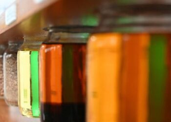 Brasil produziu 77 bilhões de litros de biodiesel, evitando emissão de 240 milhões de toneladas de CO2 e poupando cerca de U$ 38 bilhões em importação