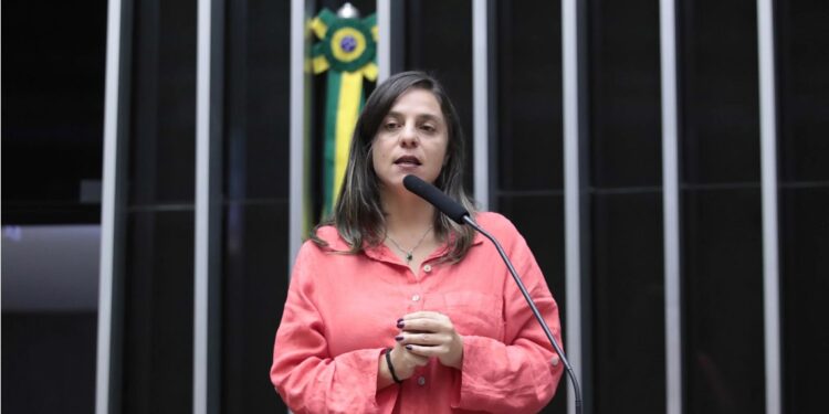 Foto: Divulgação/Fernanda Melchionna (PSOL-RS)