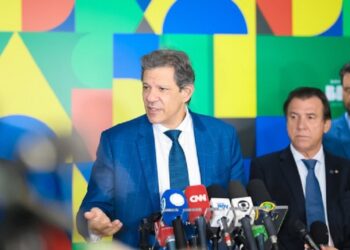 Segundo Haddad, a previsão é que a plataforma esteja disponível ainda este ano - Foto: Dney Justino/PR