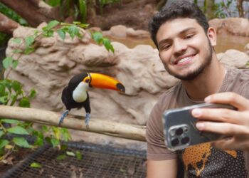 Foto: Divulgação/Parque das Aves