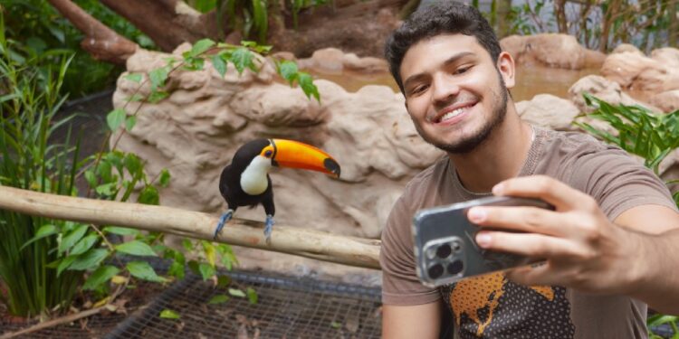 Foto: Divulgação/Parque das Aves