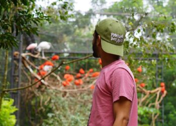 Foto: Divulgação/Parque das Aves