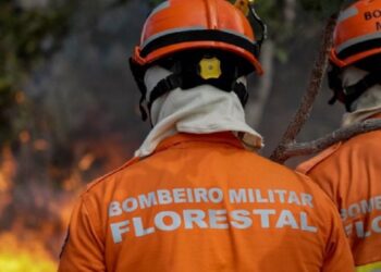 O apoio a Mato Grosso abrange a aquisição de helicóptero e acessórios, capacitação de agentes públicos, sensibilização de comunidades locais e formação de brigadas, ampliando os serviços prestados pela corporação - Foto: Divulgação