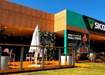 Sicoob é um dos principais agentes financiadores do produtor e da cadeia do agro – foto: divulgação/assessoria
