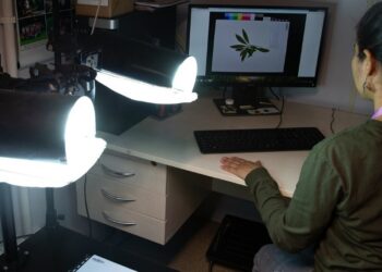 O Mestrado em Biodiversidade Neotropical da UNILA tem o objetivo de capacitar pesquisadores e docentes com uma visão ampla e crítica sobre a biodiversidade