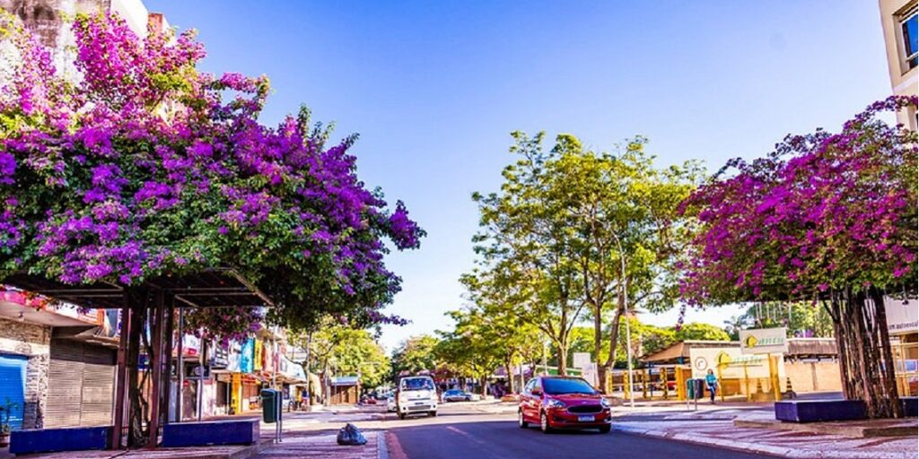 Foto: Divulgação/Prefeitura Municipal de Foz do Iguaçu