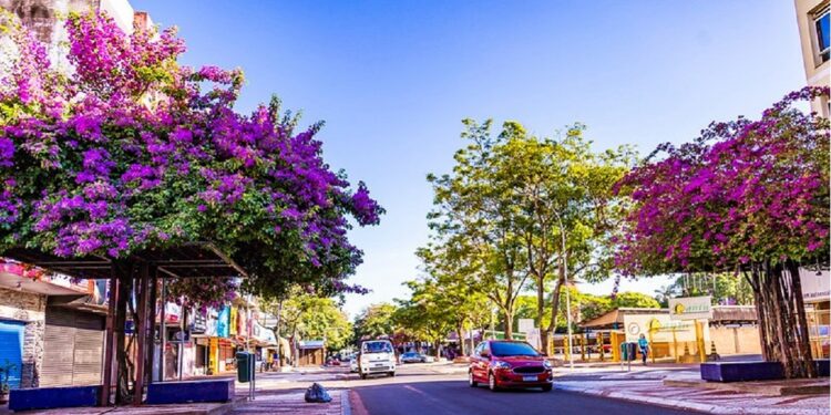 Foto: Divulgação/Prefeitura Municipal de Foz do Iguaçu Foto: Divulgação/Prefeitura Municipal de Foz do Iguaçu