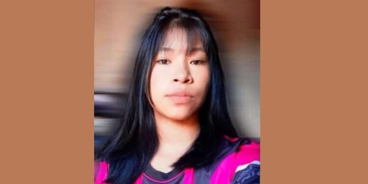 Jessicléia Martins, do povo Avá-Guarani, de apenas 17 anos, foi assassinada a facadas dentro da TI Guasu Guavirá, alvo de ataques constantes. Foto: comunidade tekoha Yvy Okaju Jessicléia Martins, do povo Avá-Guarani, de apenas 17 anos, foi assassinada a facadas dentro da TI Guasu Guavirá, alvo de ataques constantes. Foto: comunidade tekoha Yvy Okaju