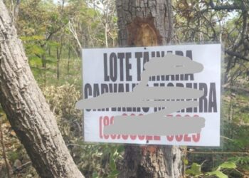 Grilagem em território reivindicado pelos Akroá-Gamella de Uruçuí e Guegue do Sangue tem distribuição de placas com nomes e telefones dos beneficiados. Foto: Comunidade Akroá-Gamella
