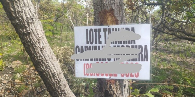 Grilagem em território reivindicado pelos Akroá-Gamella de Uruçuí e Guegue do Sangue tem distribuição de placas com nomes e telefones dos beneficiados. Foto: Comunidade Akroá-Gamella Grilagem em território reivindicado pelos Akroá-Gamella de Uruçuí e Guegue do Sangue tem distribuição de placas com nomes e telefones dos beneficiados. Foto: Comunidade Akroá-Gamella