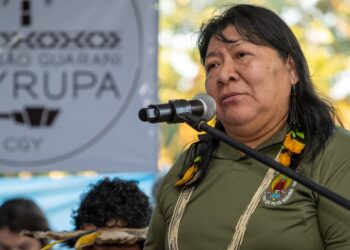 Presidente da Fundação Nacional dos Povos Indígenas (Funai), Joenia Wapichana.