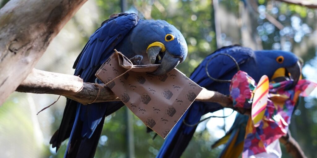 Foto: Parque das Aves