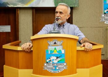 Jaime Nascimento, presidente do Observatório, durante audiência pública na Câmara de Vereadores – foto: Christian Rizzi/CMFI