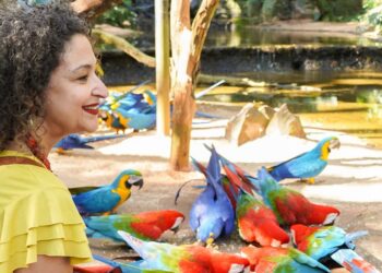 Foto: Parque das Aves