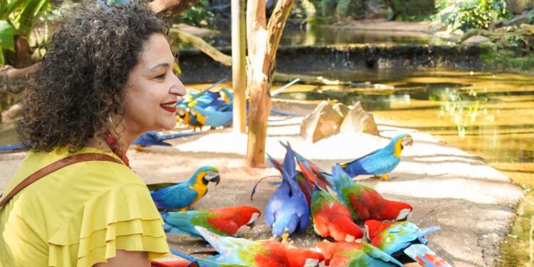 Foto: Parque das Aves Foto: Parque das Aves