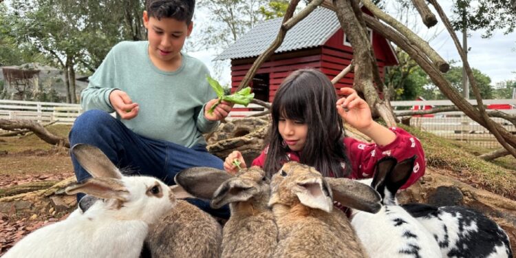 Iniciativa pioneira busca estimular o contato com a fauna e a conscientização ecológica em ambiente seguro e divertido. Foto: Complexo Dreams Park
Iniciativa pioneira busca estimular o contato com a fauna e a conscientização ecológica em ambiente seguro e divertido. Foto: Complexo Dreams Park
