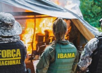 Operação iniciada em maio deste ano conta com a participação de ministérios, forças de segurança, agências reguladoras e órgãos ambientais; Foto: Thiago Dias/Secom-PR
