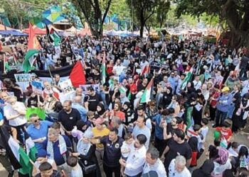 Manifestantes exigirão o rompimento do governo brasileiro com Israel. — Foto: Divulgação