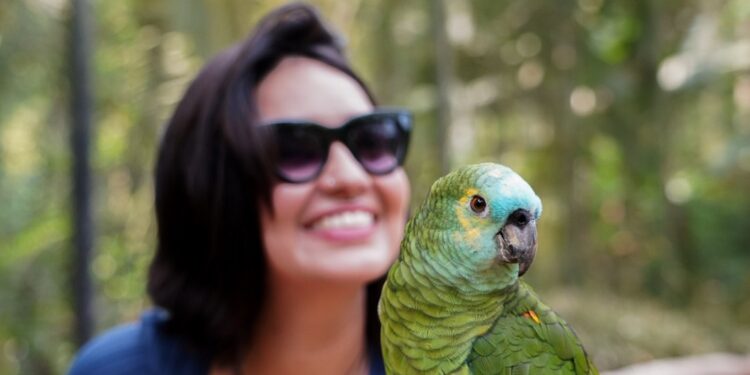 Foto: Parque das Aves Foto: Parque das Aves