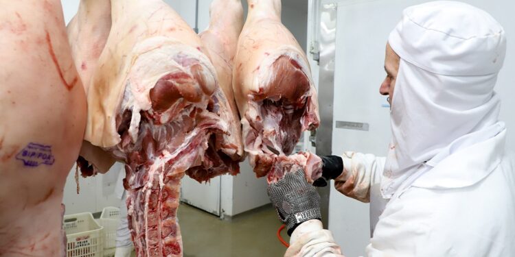 Paraná tem melhor semestre em exportações de suínos com embarque de 110,7 mil toneladas
Foto: Ari Dias/AEN Paraná tem melhor semestre em exportações de suínos com embarque de 110,7 mil toneladas
Foto: Ari Dias/AEN