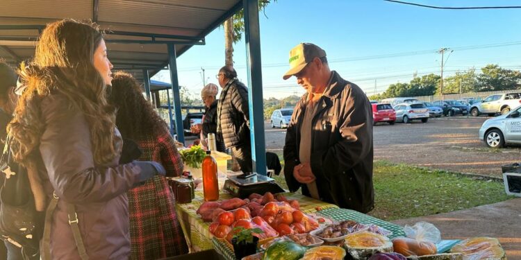 Na feira, população pode encontrar, entre outros produtos, hortifrutis agroecológicos e orgânicos. Foto: Michele Dacas (SECOM-UNILA). Na feira, população pode encontrar, entre outros produtos, hortifrutis agroecológicos e orgânicos. Foto: Michele Dacas (SECOM-UNILA).
