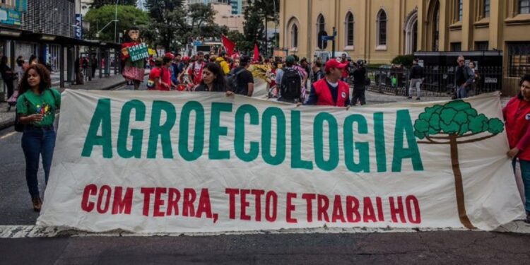 Marcha de abertura da 21ª Jornada de Agroecologia, em dezembro de 2024. Foto: Leandro Taques Marcha de abertura da 21ª Jornada de Agroecologia, em dezembro de 2024. Foto: Leandro Taques