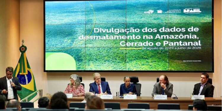 Os dados divulgados pelo Inpe indicam que a área sob alerta no bioma caiu, sinalizando avanço nas ações de preservação em uma região historicamente pressionada pela expansão agropecuária - Foto: Fernando Donasci/MMA