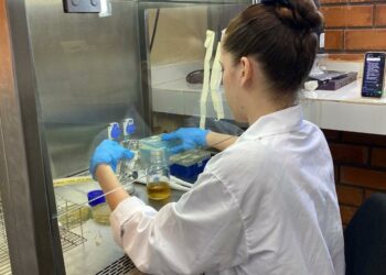 No laboratório, o nanocorpo será produzido a partir das instruções carregadas pelo DNA e a bactéria será biofábrica. Foto: UNILA.