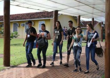 Foto: Divulgação.