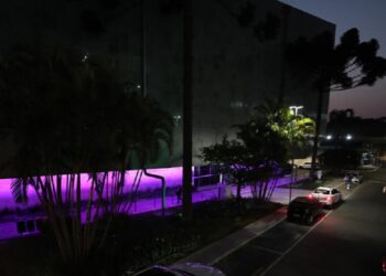 A Assembleia Legislativa iluminada com a cor lilás em apoio à campanha.
Créditos: Valdir Amaral/Alep