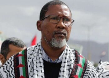 Líder sul-africano embarca para missão internacional que desafia bloqueio israelense. Foto: Redes Sociais