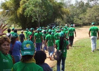 Foto: Projeto Mate
