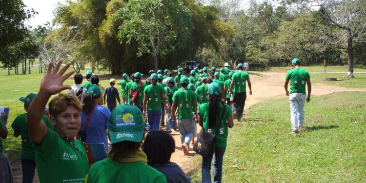 Foto: Projeto Mate Foto: Projeto Mate