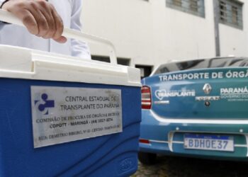 O Paraná é líder nacional em doação de órgãos, com a maior taxa de doadores por milhão de população. Créditos: Albari Rosa/AEN