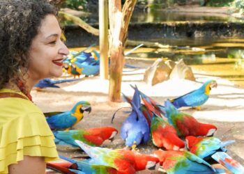 Foto: Parque das Aves.