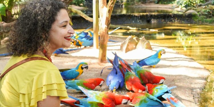 Foto: Parque das Aves.