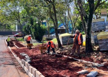 Foto: Divulgação.