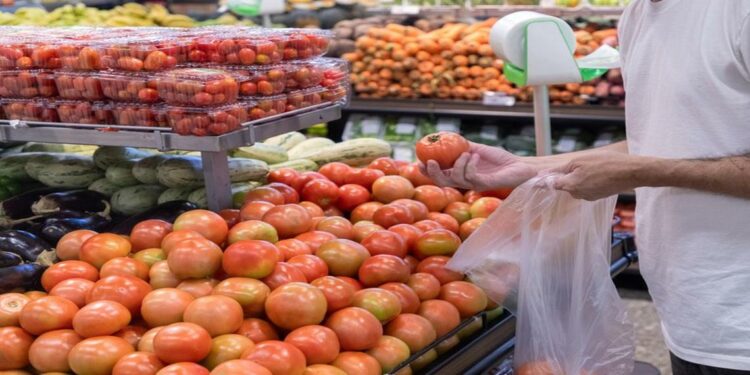 O preço do tomate caiu em 25 das 27 capitais em agosto, com variações entre -26,83%, em Brasília, e -3,13%, em Belém: maior oferta foi responsável pela queda do preço no varejo - Foto: Vitor Vasconcelos / Secom-PR. O preço do tomate caiu em 25 das 27 capitais em agosto, com variações entre -26,83%, em Brasília, e -3,13%, em Belém: maior oferta foi responsável pela queda do preço no varejo - Foto: Vitor Vasconcelos / Secom-PR.
