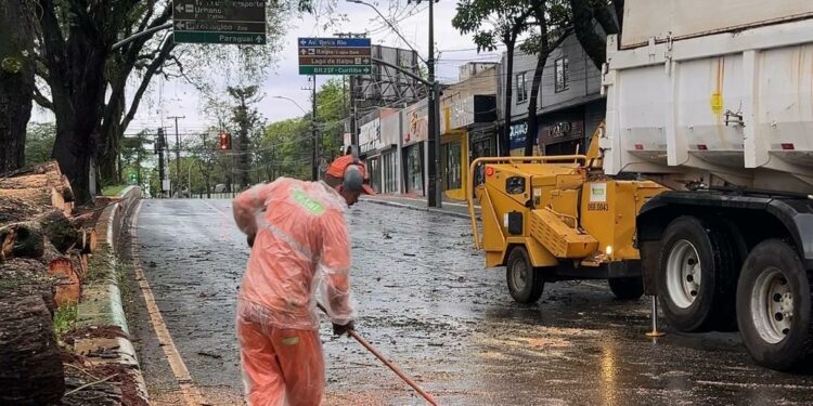 Foto: Divulgação.