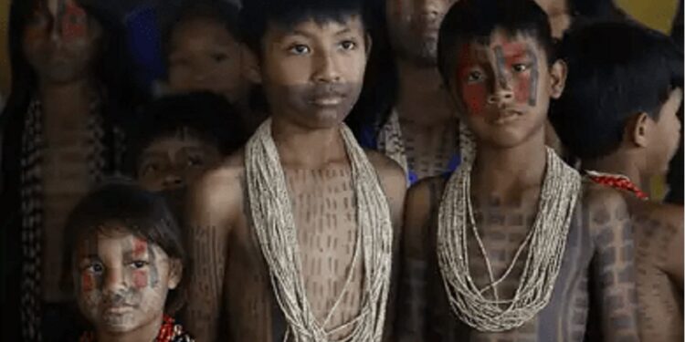 Novo Censo mostra crescimento de 88% na população indígena e reforça a importância da preservação cultural. Foto: Reprodução Novo Censo mostra crescimento de 88% na população indígena e reforça a importância da preservação cultural. Foto: Reprodução
