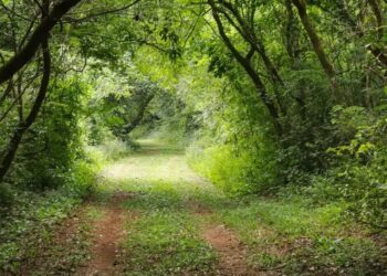 Foto: Divulgação/Caminhos do Peabiru