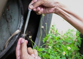 A Secretaria de Finanças e Orçamento de Foz do Iguaçu, por meio da Diretoria de Fiscalização e do Comitê Municipal de Combate à Dengue, realiza nesta sexta-feira (17) uma operação especial para vistoriar imóveis com indícios de focos do mosquito Aedes aegypti. Foto: Divulgação.
