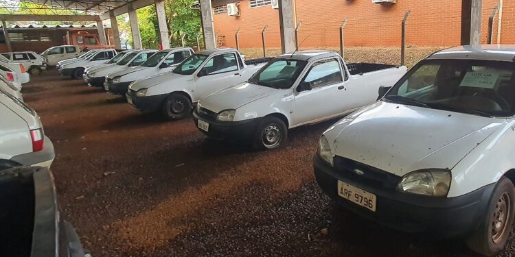 Visitação ocorre em sete municípios; lances abrem no dia 24 às 10h. Foto: SEAP/Divulgação
