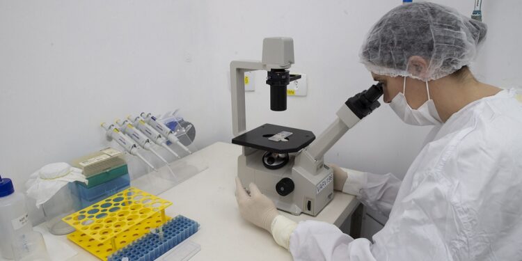 Instituto paranaense integrará rede estratégica de produção do SUS e desenvolverá estrutura dedicada em Maringá. Foto: Hedeson Alves/TECPAR Instituto paranaense integrará rede estratégica de produção do SUS e desenvolverá estrutura dedicada em Maringá. Foto: Hedeson Alves/TECPAR